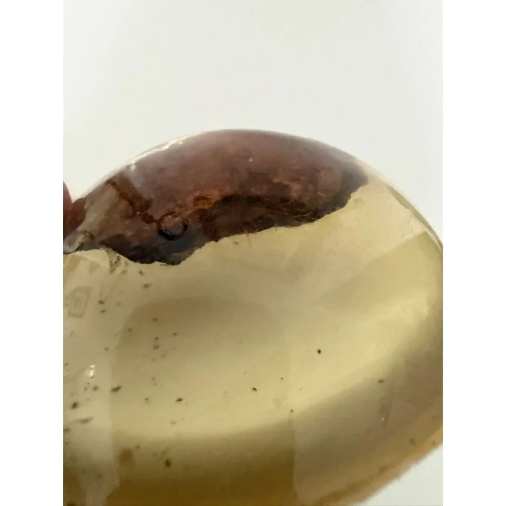 Vintage homemade paperweight  with cloth or wood trapped inside